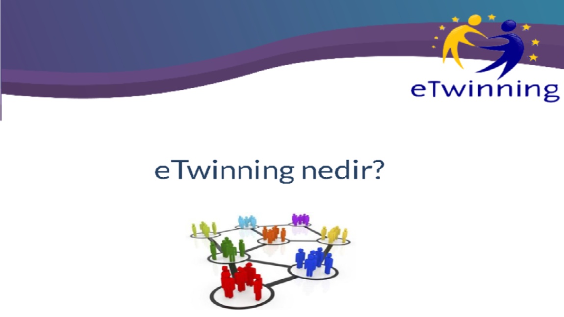 e Twinning Nedir?